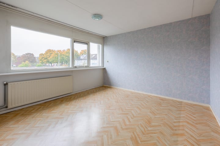 Foto 14 van Heilige Stoel 3854