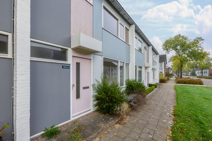 Foto 29 van Heilige Stoel 3854