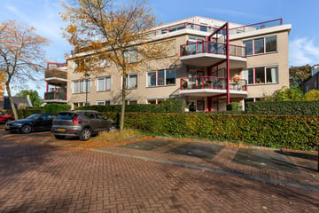 Steenhoffstraat thumbnail