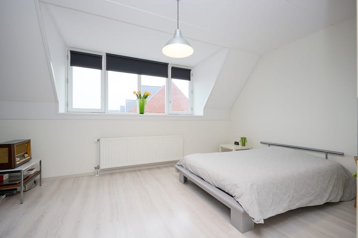 Photo 10 of Vuurvlinder 19