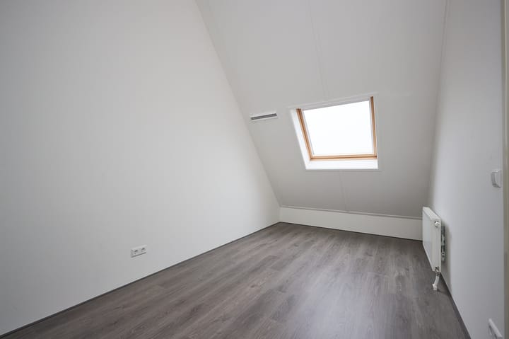 Photo 13 of Vuurvlinder 19