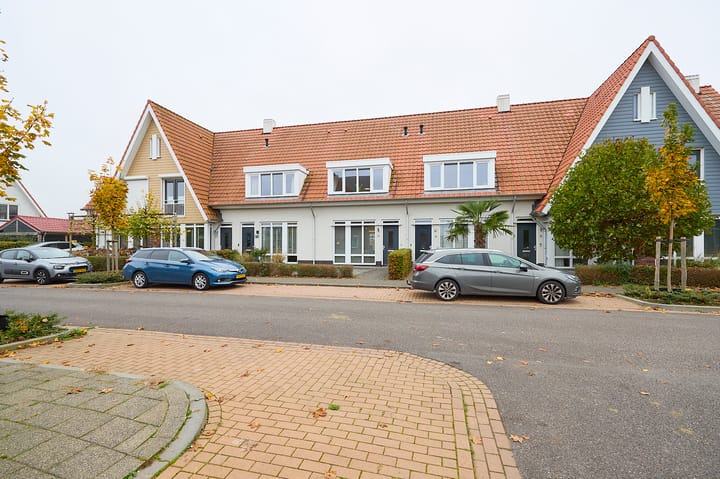 Photo 16 of Vuurvlinder 19