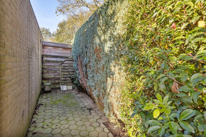 Foto 31 van Metzlaan 22