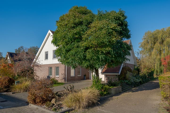 Foto 4 van Pinksterbloem 14