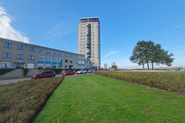 View photo 11 of Maasboulevard 116