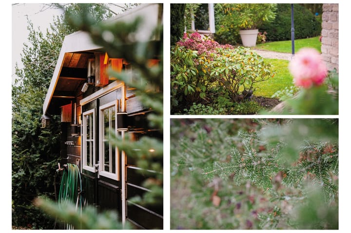 Foto 48 van Mussentiend 13