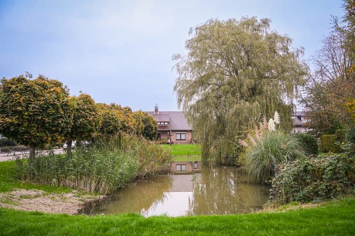 Foto 54 van Mussentiend 13