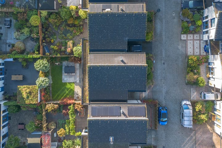 Foto 39 van Segerserf 8