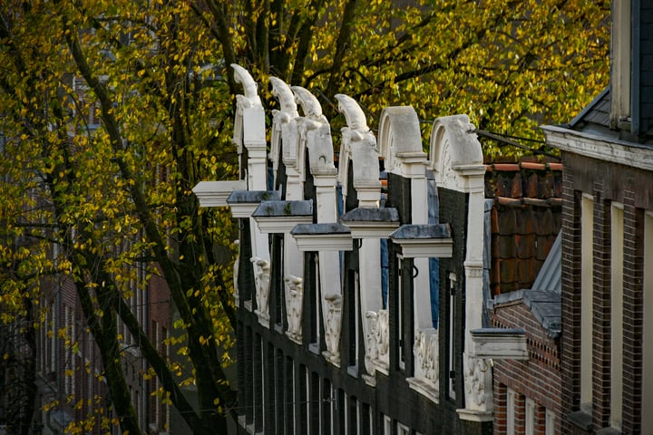 Bekijk foto 22 van Lange Leidsedwarsstraat 53-4