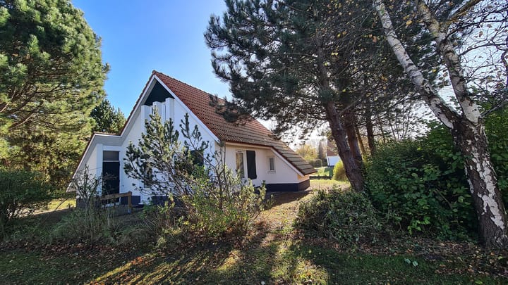 Foto 2 van De Rug 3-84