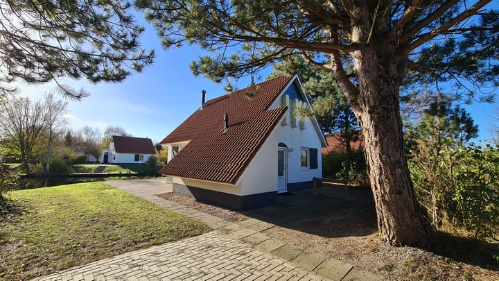 Foto 1 van De Rug 3-84