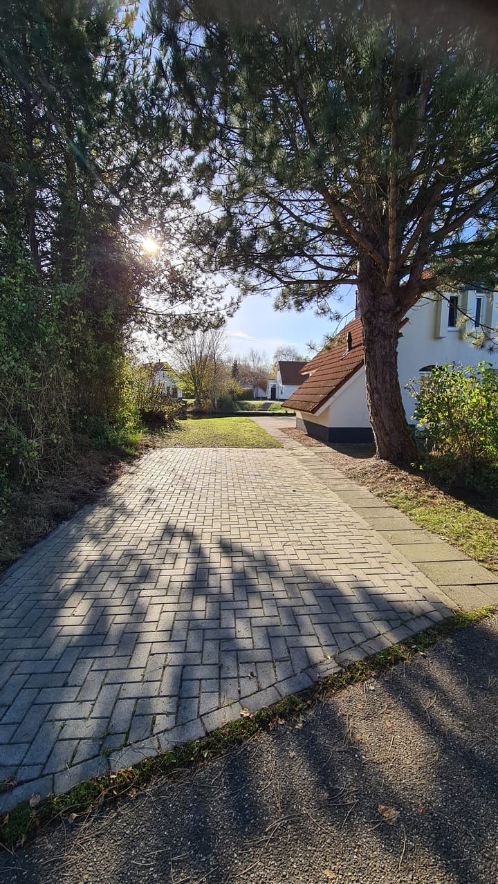 Foto 3 van De Rug 3-84