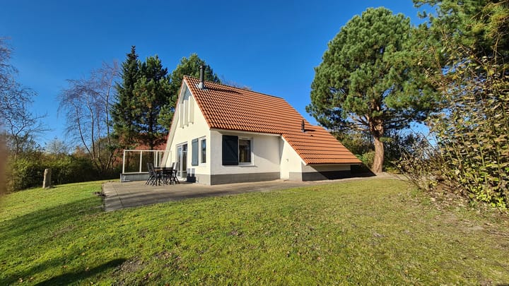 Foto 4 van De Rug 3-84