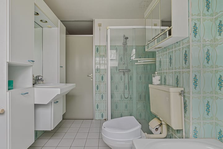 Foto 4 van Grasgors 43