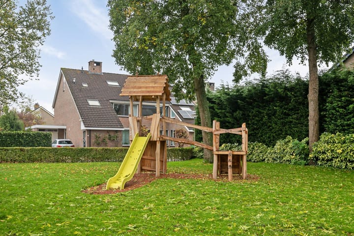 Foto 5 van Grasgors 43