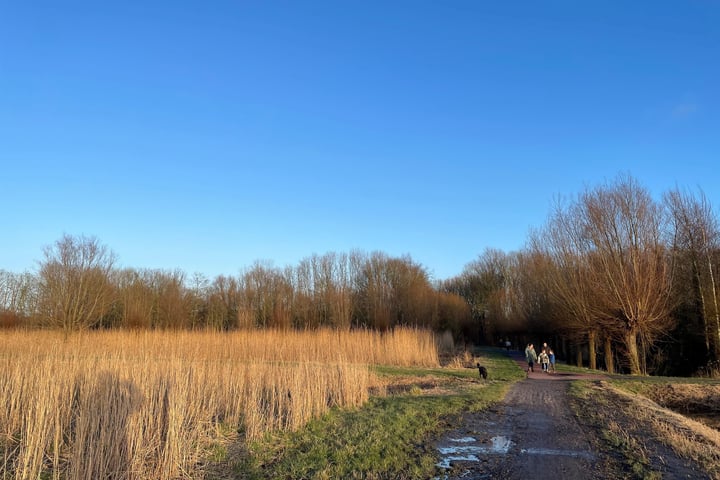 Bekijk foto 49 van Hoendiep 115