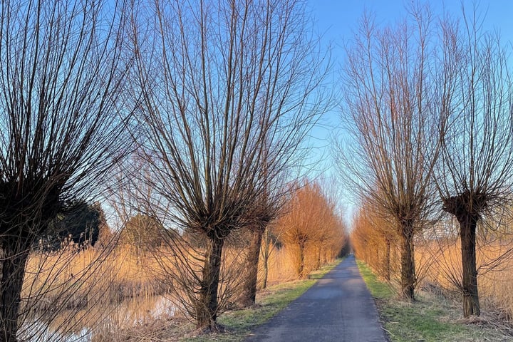 Bekijk foto 50 van Hoendiep 115