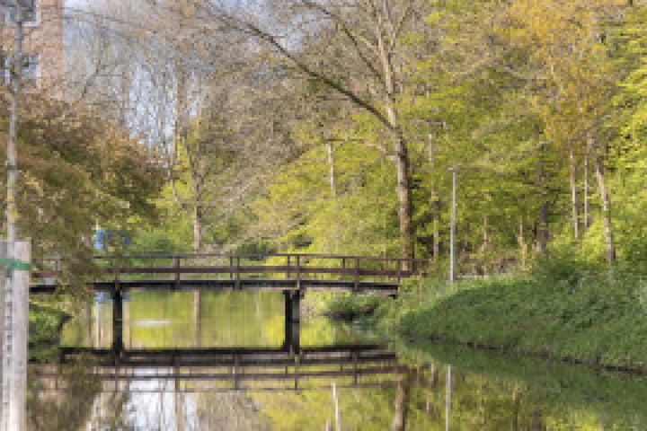 Bekijk foto 9 van Nicolaas Tulplaan 190