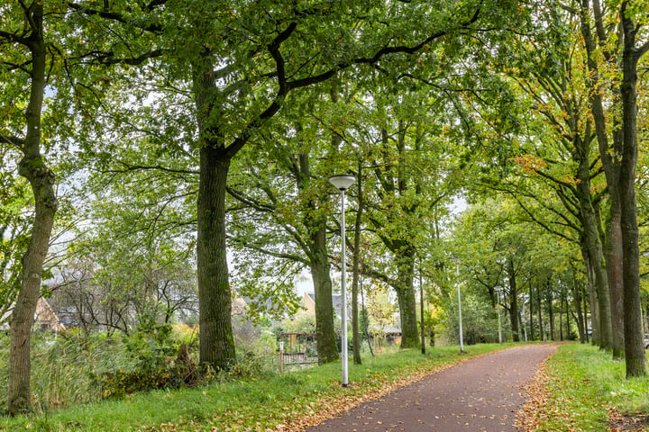 Bekijk foto 34 van Vitruviusstraat 41