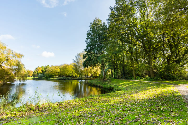 Bekijk foto 41 van Galjoen 30 33