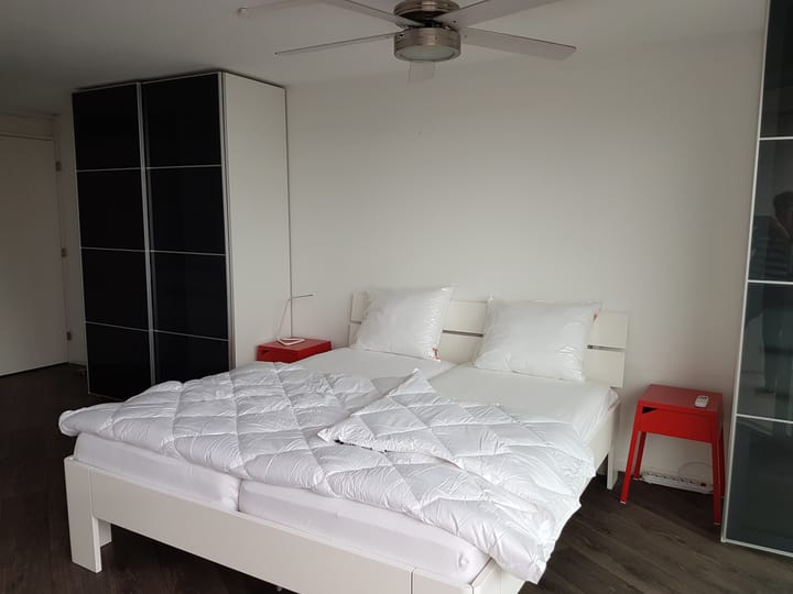 Foto 13 van Librijesteeg 283