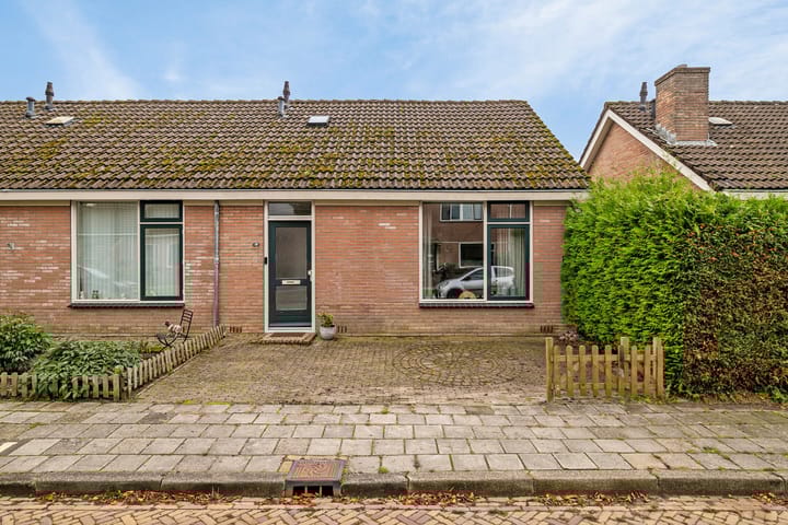 undefined main image