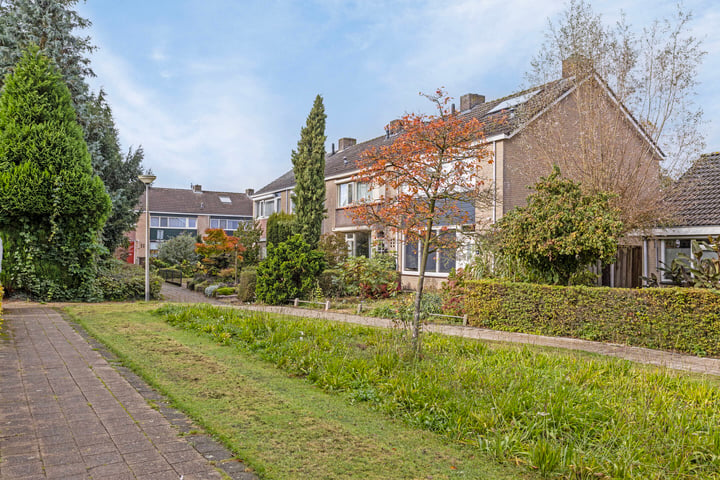 Bekijk foto 38 van Hogeweg 167