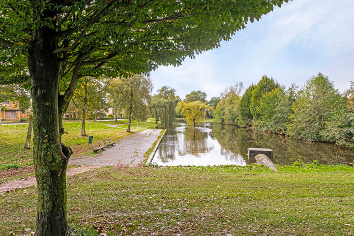 Bekijk foto 41 van Hogeweg 167