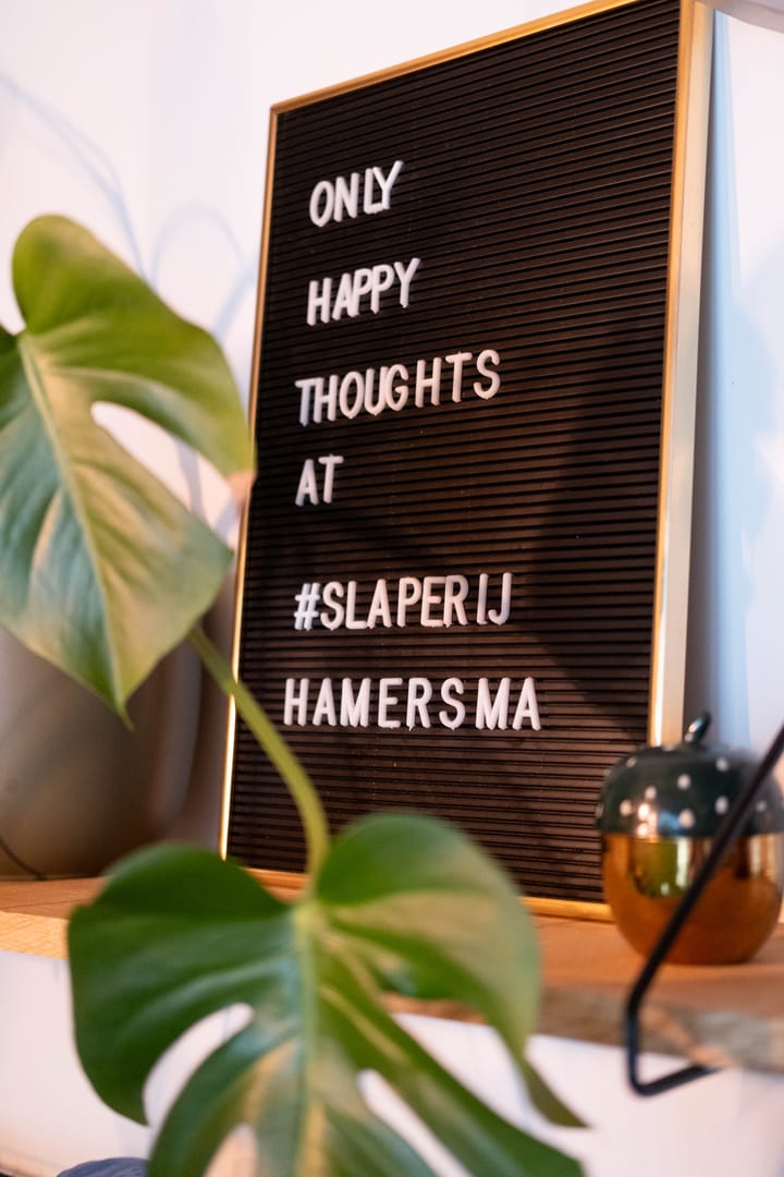 Foto 16 van Gedempte Pol 4