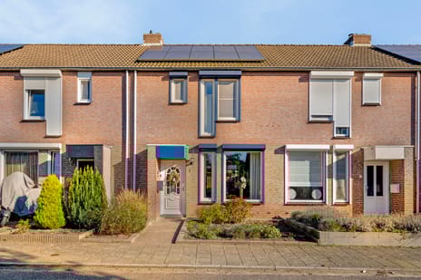 undefined main image