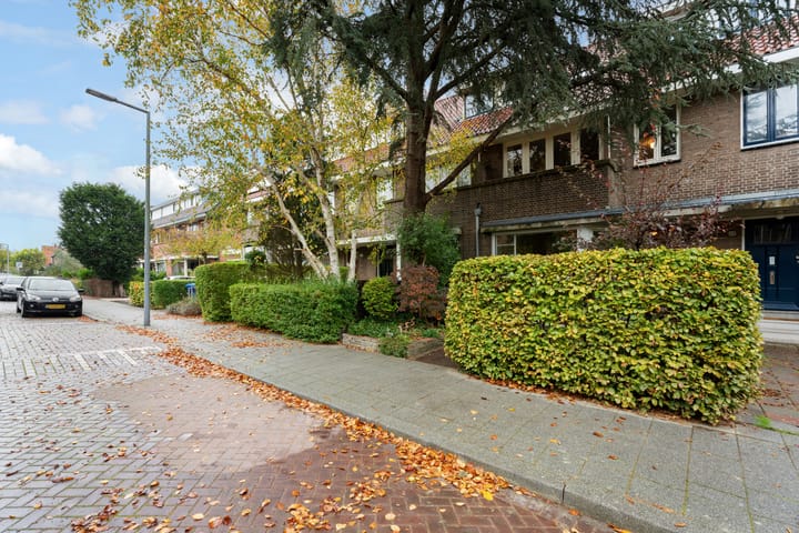 Foto 61 van Adrianalaan 181