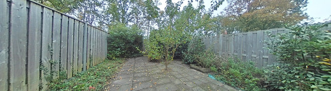 Bekijk 360° foto van achtertuin van Harp 34