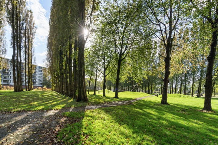 Bekijk foto 32 van Kasterleestraat 152