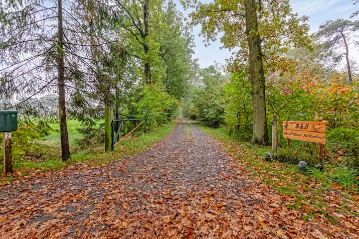 Bekijk foto 7 van Damheideweg 2