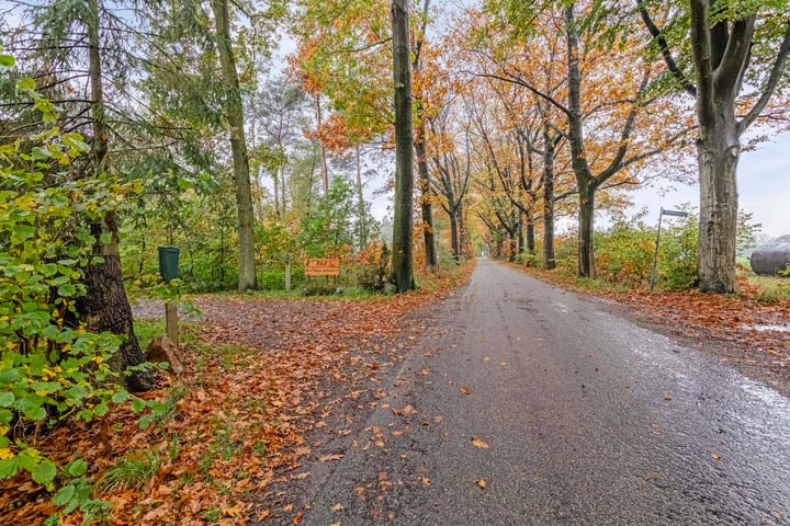 Bekijk foto 90 van Damheideweg 2