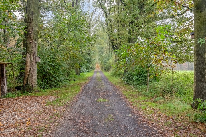 Bekijk foto 91 van Damheideweg 2