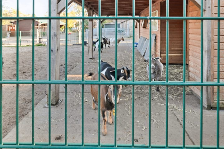 Foto 37 van IJsseldijk 80