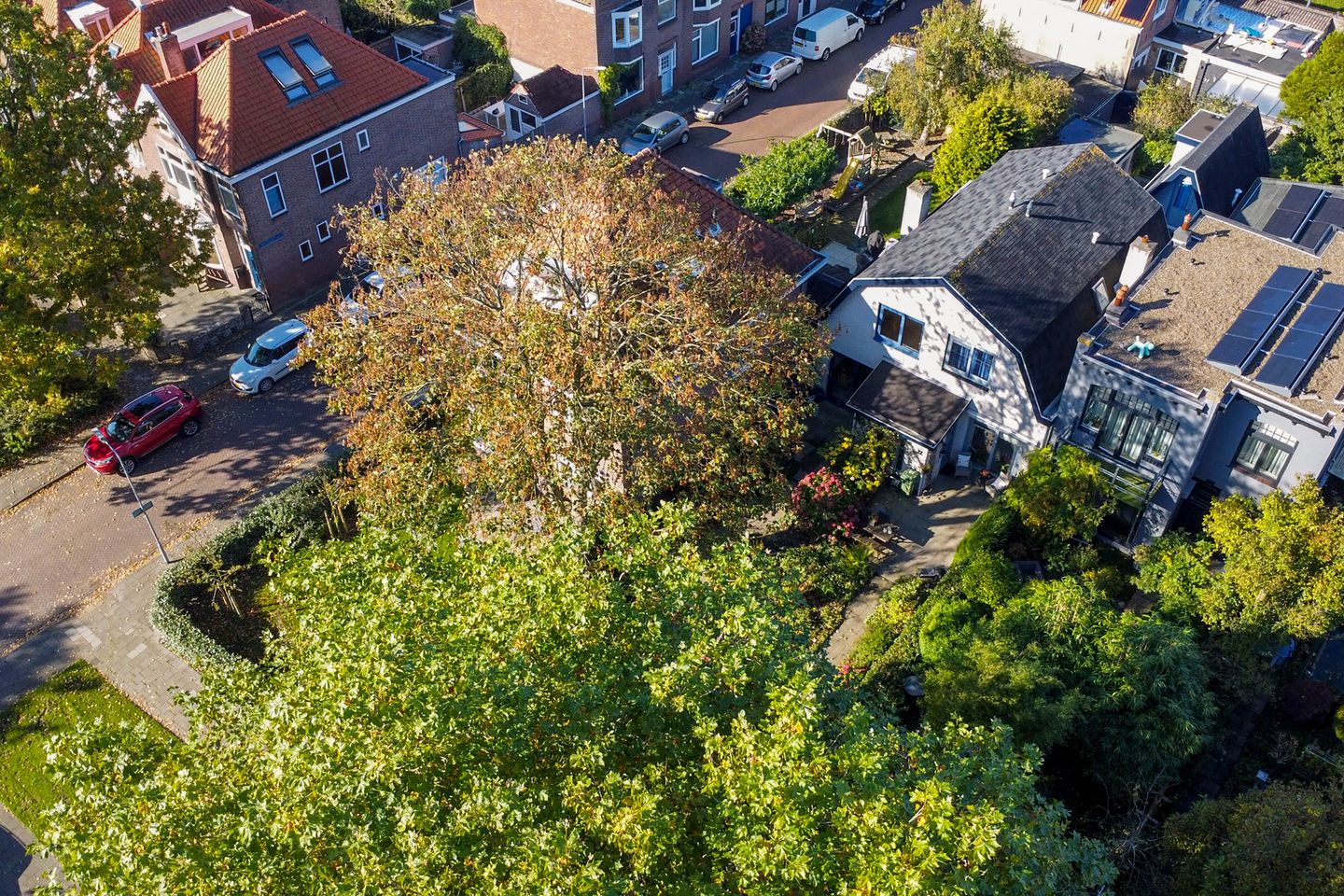 Foto 34 van Vrijdomweg 24