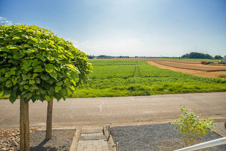 Bekijk foto 9 van Eijkskensweg 2