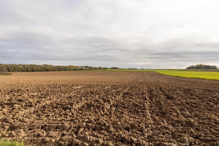 Bekijk foto 10 van Eijkskensweg 2