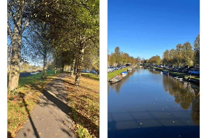 Foto 65 van Tuinstraat 6