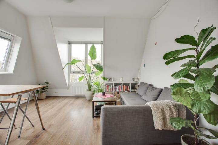 Foto 7 van Singelstraat 51-D