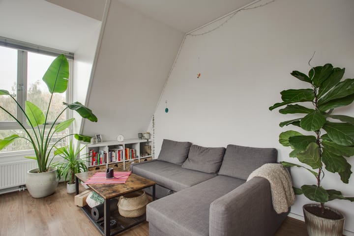 Foto 11 van Singelstraat 51-D