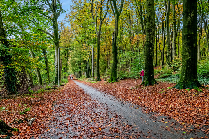 Bekijk foto 60 van Hommelseweg 343