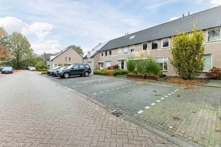 Photo 48 of Lupinestraat 17