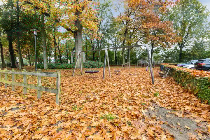 Photo 49 of Lupinestraat 17