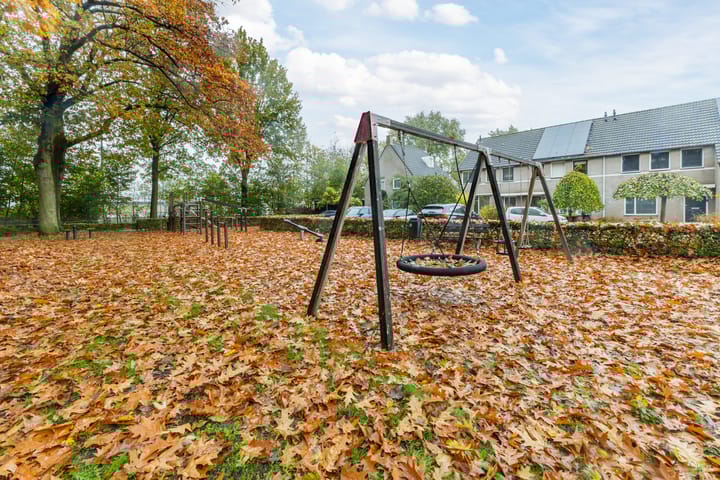 Photo 50 of Lupinestraat 17