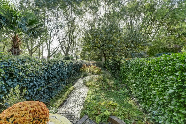 Foto 37 van Koos Vorrinkstraat 8