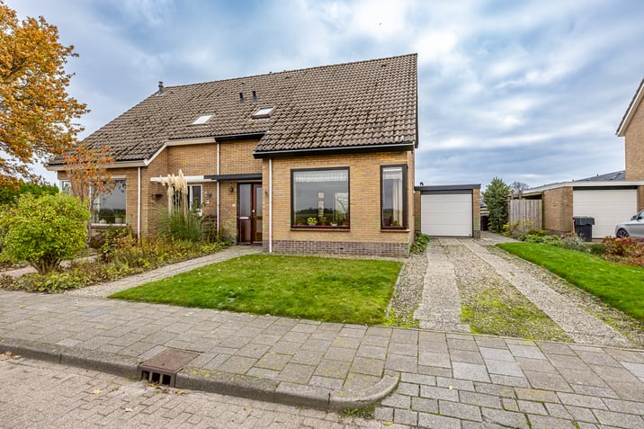 undefined main image
