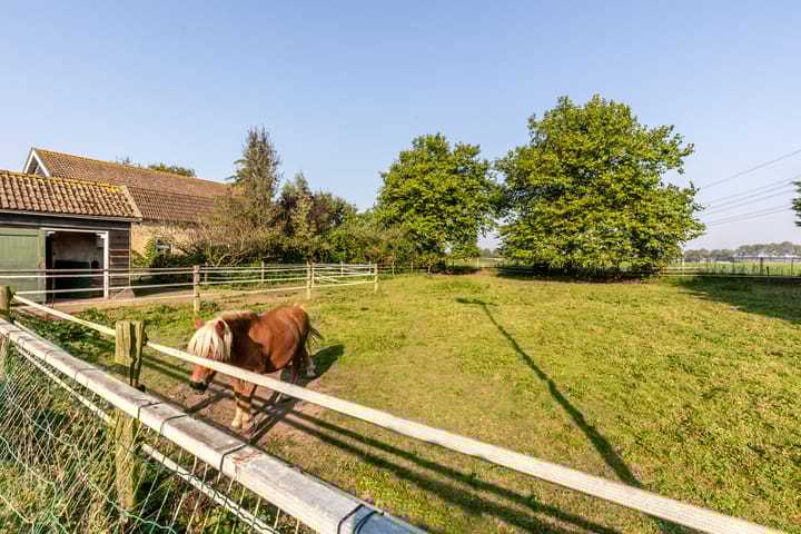 Photo 16 of Abbewerveweg 5